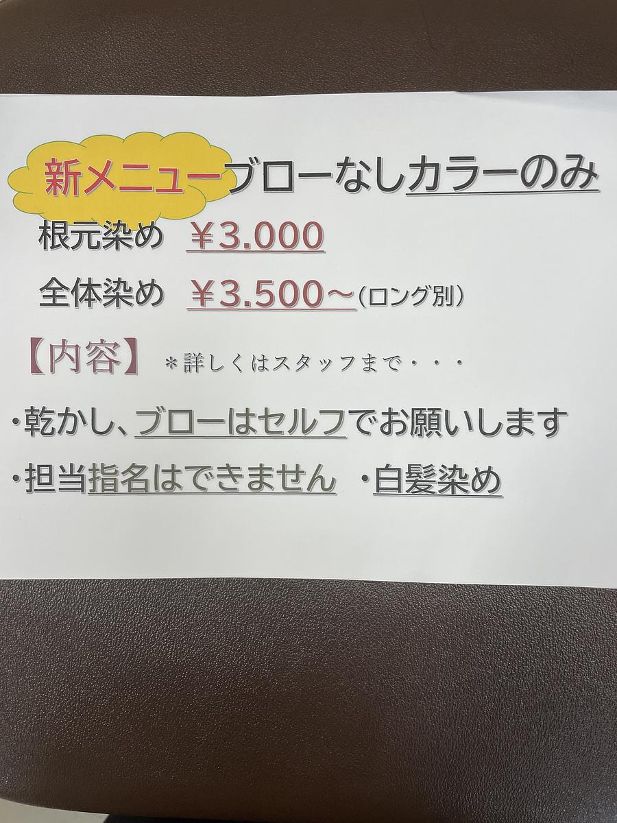 新メニュー　ブロー無しカラーのみ登場
